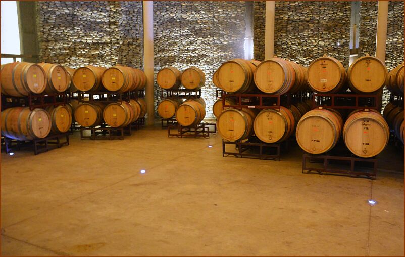 Vineyard1 - aging room